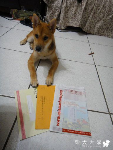 BEER 也收到情書囉(原發表者:Bart)(相簿)