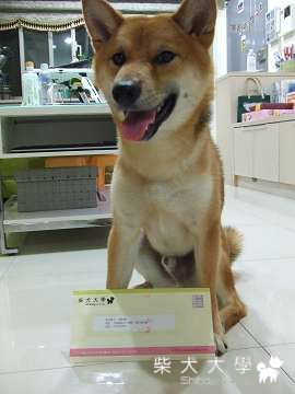 Fighter的分手信 = =(原發表者:Fighter爸)(相簿)