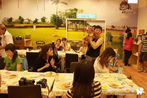 7/11高雄夢時代生日趴側拍(老闆在催稿了)(原發表者:糖糖拔)(相簿)