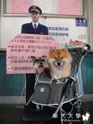 KEN之  南投行(原發表者:KEN家)(相簿)