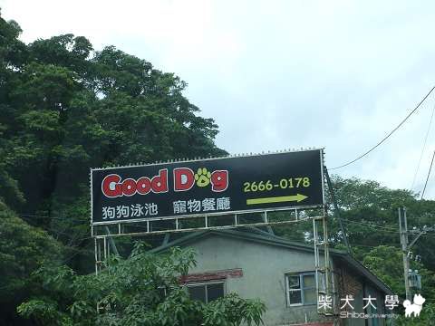 欠很久的Gooddog游泳樂～(原發表者:Fighter爸)(相簿)