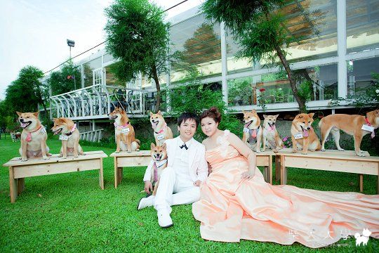 Fighter家的婚紗照出爐囉～(原發表者:Fighter爸)(相簿)