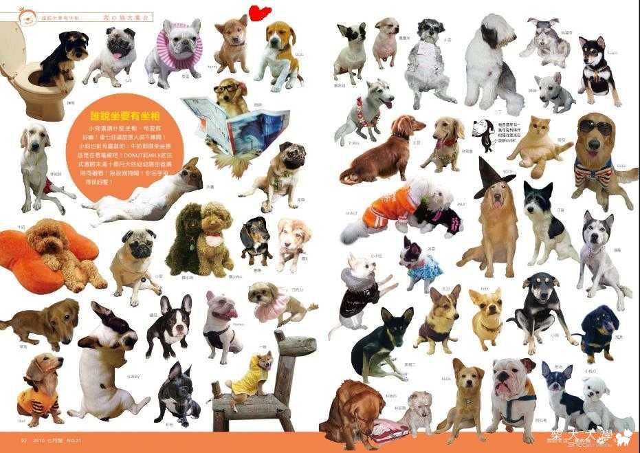 我的狗雜誌-照片出爐拉~(原發表者:肯尼麻)(相簿)