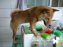 爬高高(原發表者:小雪姐)(相簿)