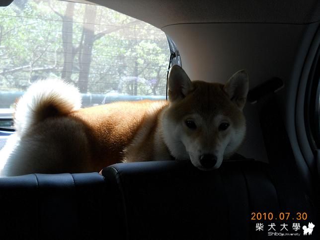 等了好久，終於可以出去玩了(原發表者:chaintai)(相簿)