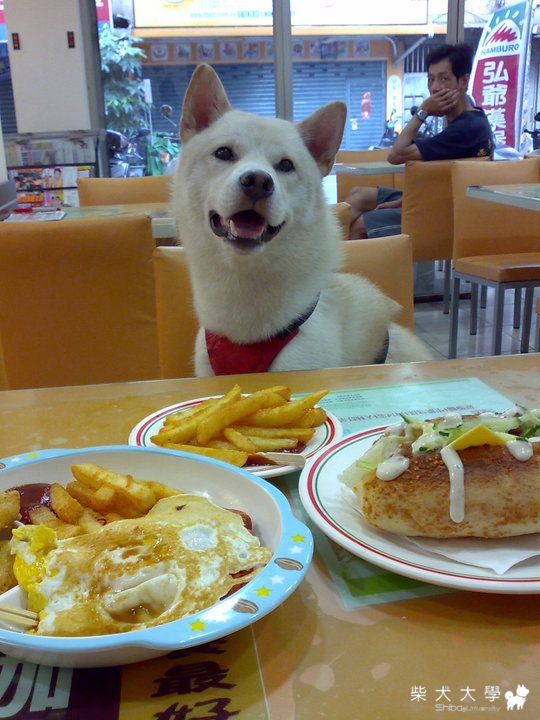 一天的活力 來自營養早餐(原發表者:錢錢麻)(相簿)