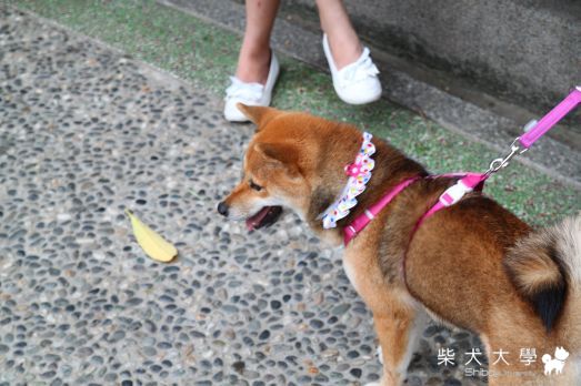 台中告別揪聚會(原發表者:娃娃的阿爸)(相簿)