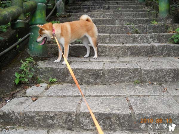 青山瀑布一日遊(原發表者:chaintai)(相簿)