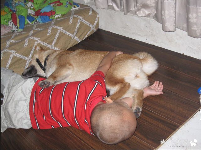 姦情當場被抓到(原發表者:天生神準)(相簿)