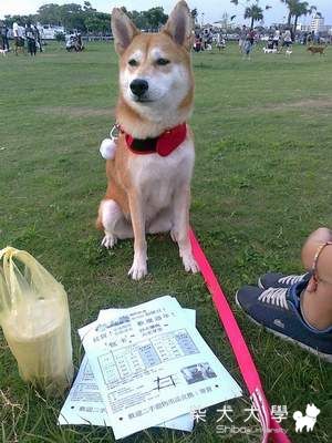 阿秋的第一次林默娘公園(原發表者:阿秋爸)(相簿)