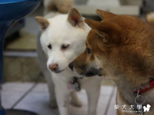 破百跟TB的無聊肥皂劇@@(原發表者:破百家)(相簿)