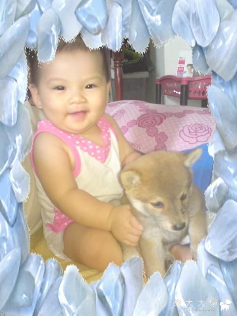 小嚕我們一起長大吧(原發表者:嚕嚕)(相簿)