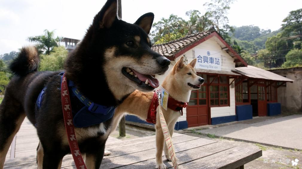 滷哥哇妹-最接近上帝之旅(一)(原發表者:哇莎蜜家)(相簿)