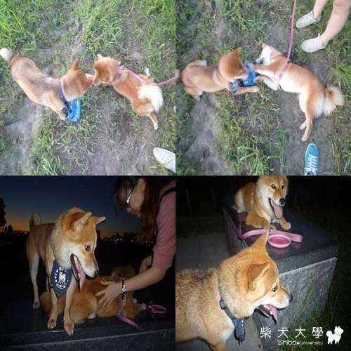 肯尼跟橘子的約會(原發表者:肯尼麻)(相簿)