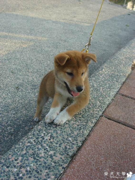 妹妹回來了(原發表者:mingyan0211)(相簿)