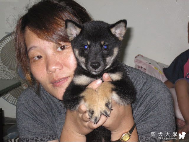 家裡有新成員了  剛剛到家馬上分享(原發表者:天生神準)(相簿)