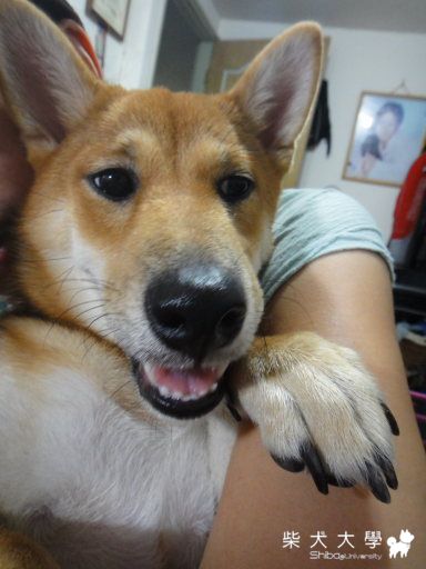 BEER寶寶生病了嗎?(原發表者:Bart)(醫療保健)