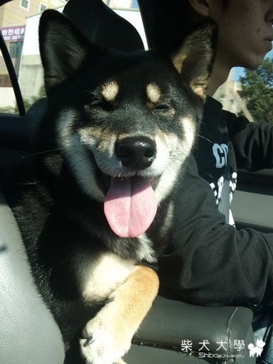 永遠的HARU，永遠的9月8日(原發表者:haru0708)(相簿)