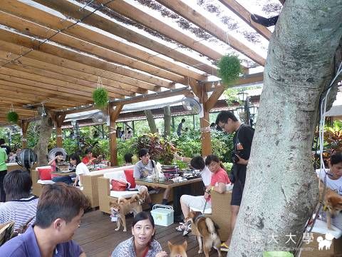 0911青青烤肉趴圓滿落幕～(原發表者:Fighter爸)(相簿)