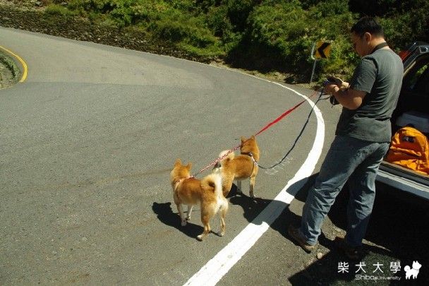 9/11強強、圓圓征服百岳之四-合歡山東峰(原發表者:圓圓麻)(相簿)