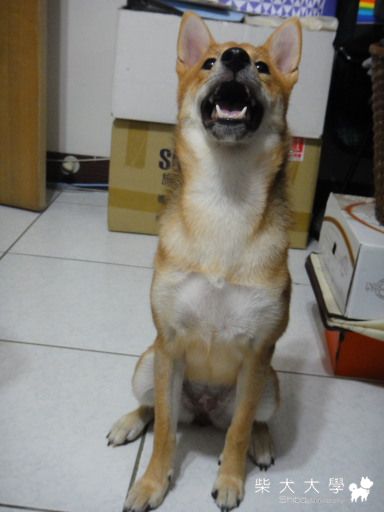 BEER 今天心情很美麗(原發表者:Bart)(相簿)