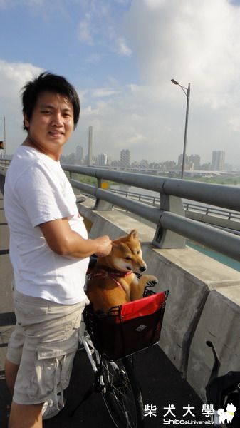 918國際無車日+凡那比颱風的禮物(原發表者:米魯麻)(綜合討論)