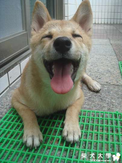 蕾蕾五個月囉!!(原發表者:吧噗爸)(相簿)