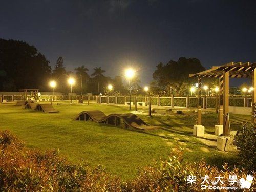 10/01 星期五 寵物公園 晚上 8.30 一般相揪(原發表者:破百家)(相簿)