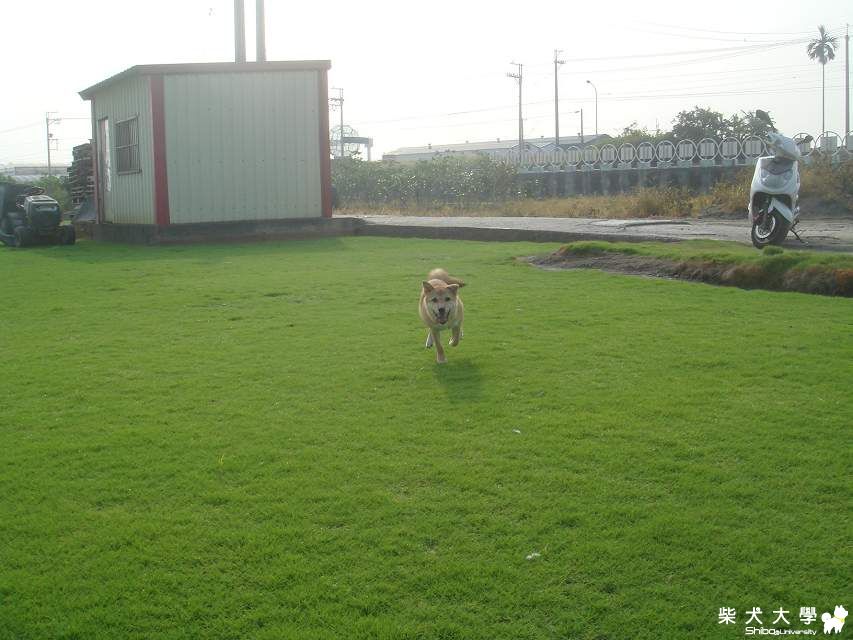 蕾蕾的天堂(原發表者:吧噗爸)(相簿)