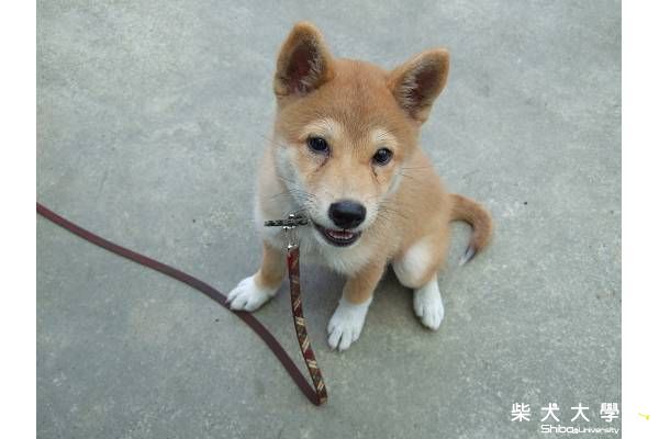 開戰囉....part2(原發表者:HOYA拔)(相簿)