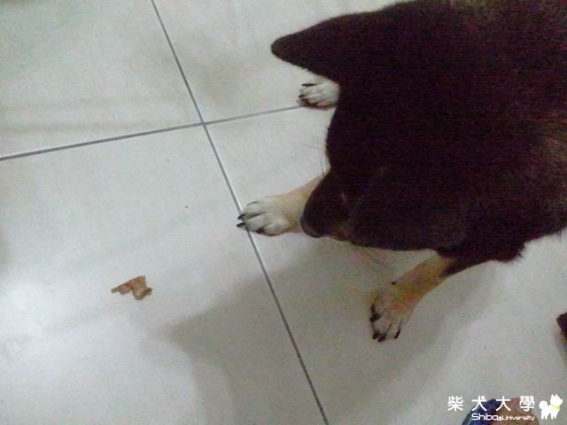 眼睛發亮(原發表者:Fendy家)(相簿)