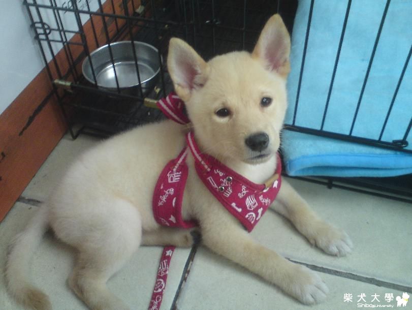 蛋白生活照(原發表者:yaya72002)(相簿)