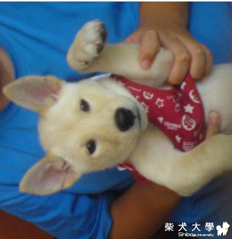 蛋白照(原發表者:yaya72002)(相簿)