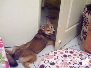 鑽石會顧家顧店(原發表者:naomi0624)(相簿)