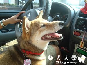 9/27下去台中玩囉~(原發表者:naomi0624)(相簿)