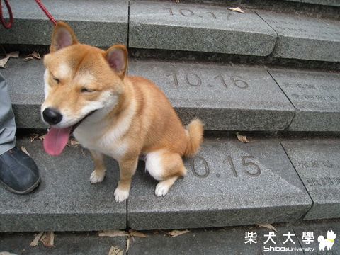 10月15日生日快樂-日月潭年梯行(原發表者:pia0603)(相簿)