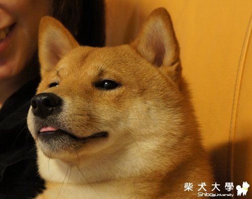 fila寫真(原發表者:皮蛋)(相簿)