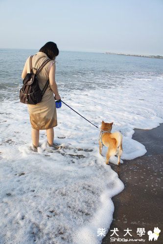 ｆｉｌａ的第一次水體驗(原發表者:皮蛋)(相簿)