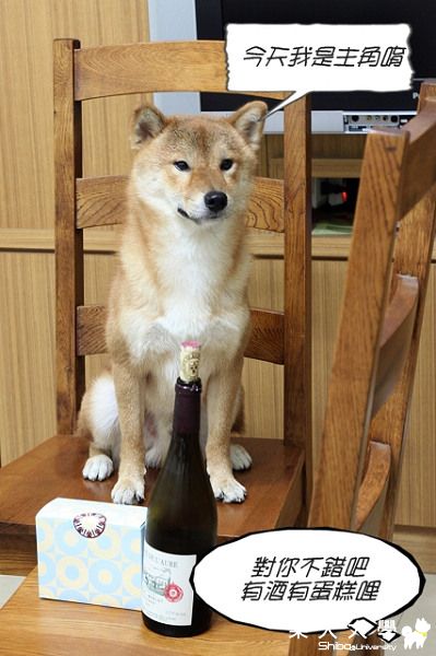 米糕二歲生日慶生會(原發表者:米糕的爹)(相簿)