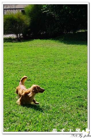 跟著GARMIN去旅行(100號牧場)(原發表者:果凍麻)(相簿)