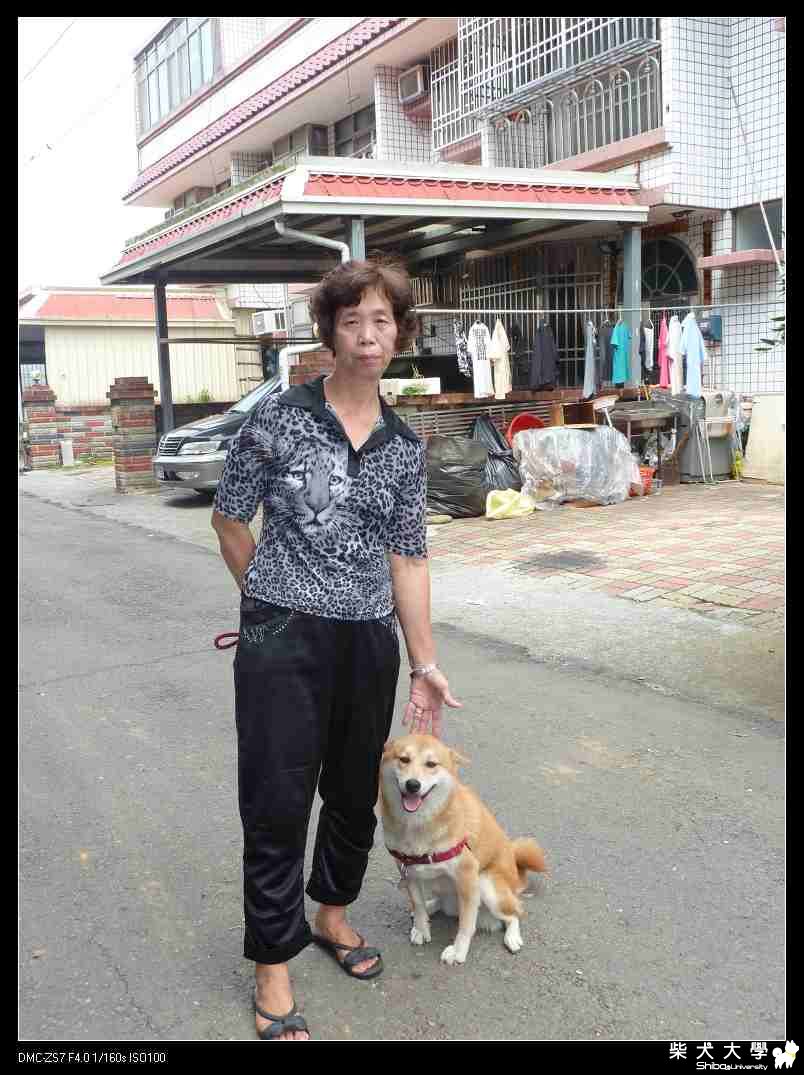 陳家的另一隻狗~ 柴柴(原發表者:破百家)(相簿)