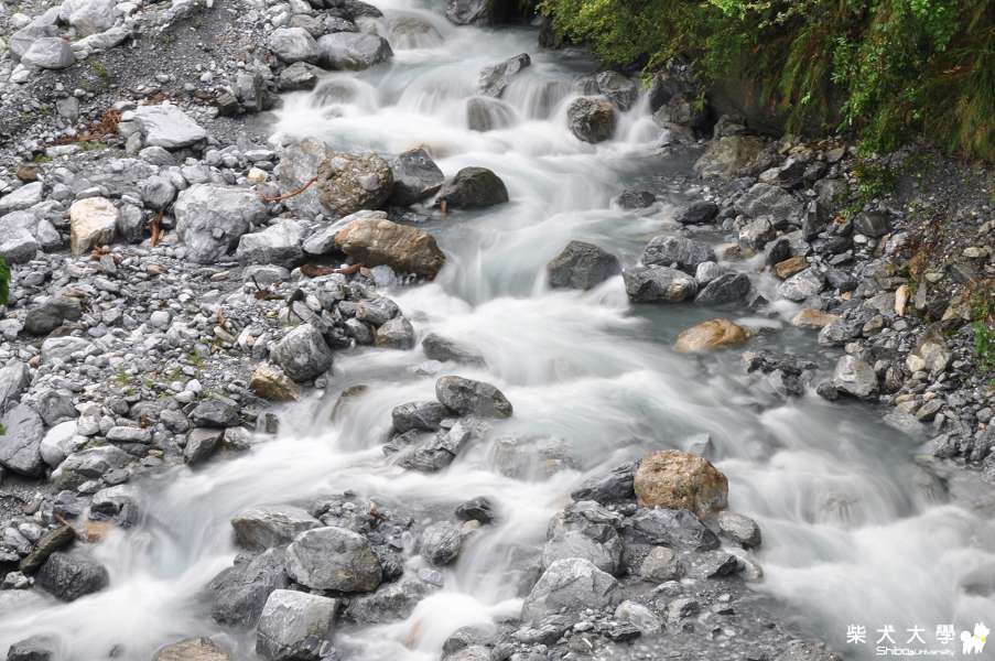 大雨一直下。花蓮亂亂拍~(原發表者:肉丸麻)(相簿)