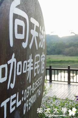 苗栗向天湖(沒毛的烏龍)(原發表者:烏龍麻)(相簿)