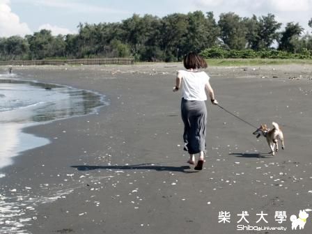 小新和姨一起外拍去!(原發表者:小新媽)(相簿)