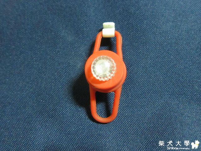 MIKA(橘子)夜晚散步新法寶~~閃閃惹人愛~(原發表者:uchen)(相簿)