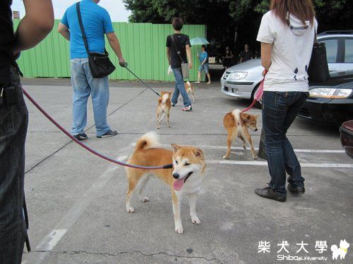 10/09破百ㄚ公生日趴之台中一日遊....(原發表者:狄狄麻)(相簿)