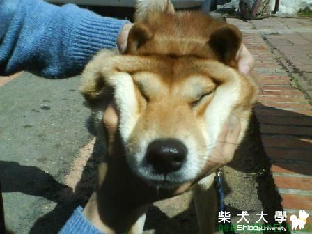 做鬼臉(原發表者:元氣媽咪)(相簿)