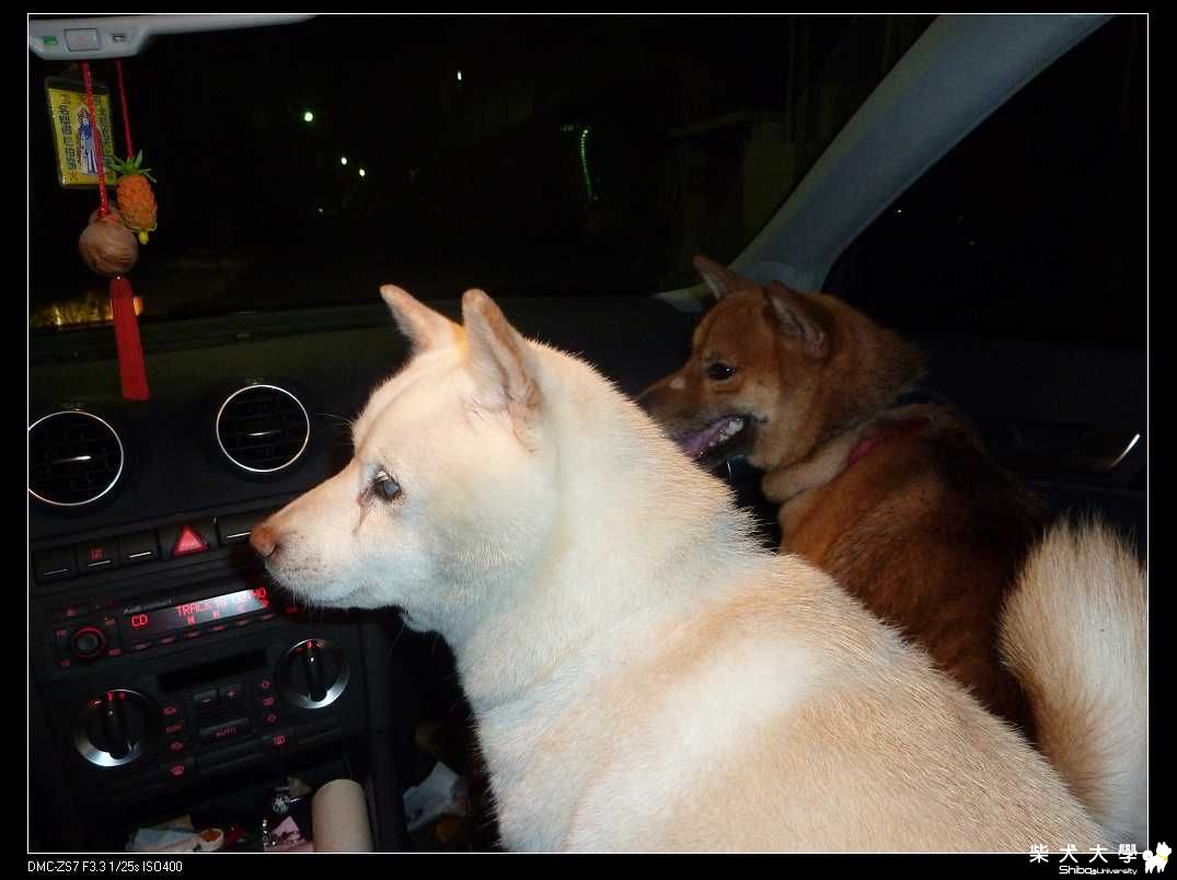 甚麼叫尊重(原發表者:破百家)(相簿)