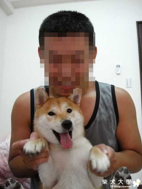 牛牛中猴的下場(原發表者:sapokuda)(相簿)