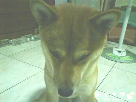 認錯(原發表者:元氣媽咪)(相簿)